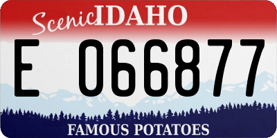 ID license plate E066877