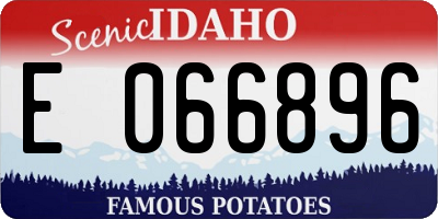 ID license plate E066896