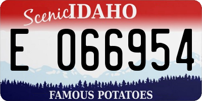 ID license plate E066954
