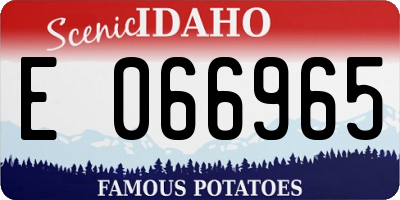 ID license plate E066965