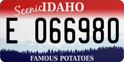 ID license plate E066980
