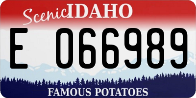 ID license plate E066989