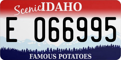 ID license plate E066995