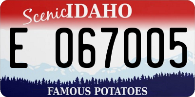 ID license plate E067005