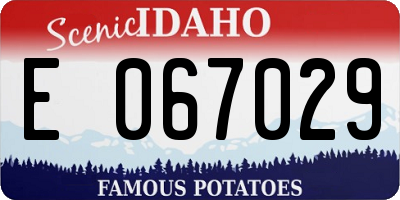 ID license plate E067029