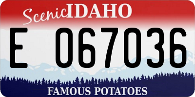 ID license plate E067036