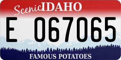 ID license plate E067065