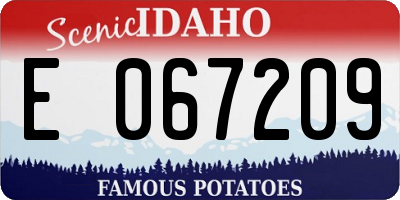 ID license plate E067209