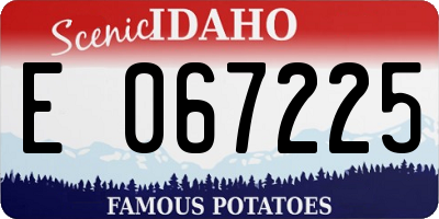 ID license plate E067225