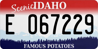 ID license plate E067229