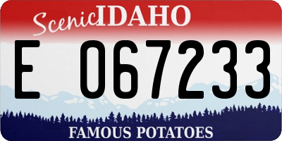 ID license plate E067233