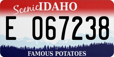 ID license plate E067238