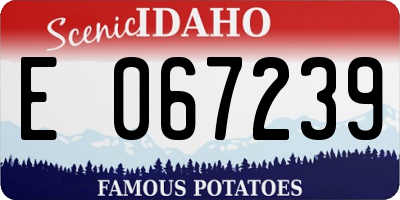 ID license plate E067239