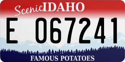 ID license plate E067241
