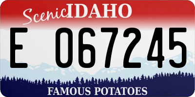 ID license plate E067245
