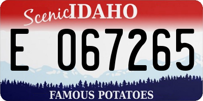 ID license plate E067265