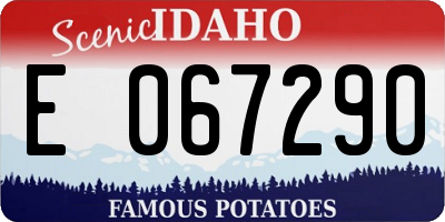 ID license plate E067290