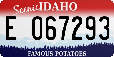 ID license plate E067293