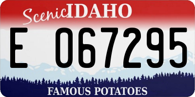 ID license plate E067295