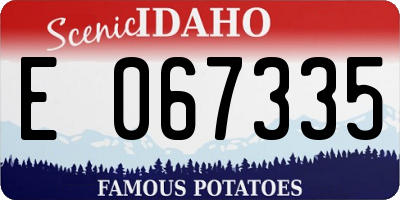 ID license plate E067335