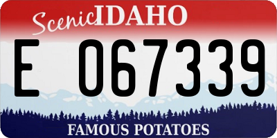 ID license plate E067339