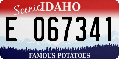 ID license plate E067341