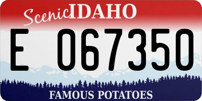 ID license plate E067350