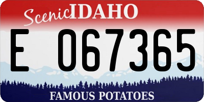 ID license plate E067365