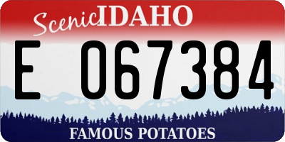 ID license plate E067384