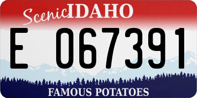ID license plate E067391