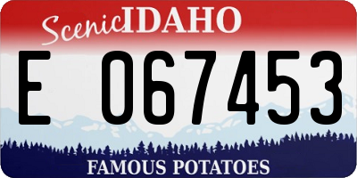 ID license plate E067453
