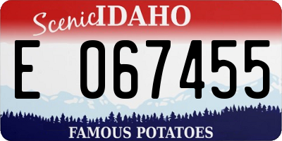 ID license plate E067455