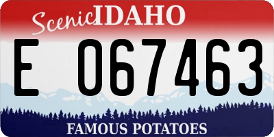 ID license plate E067463