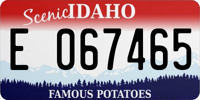 ID license plate E067465