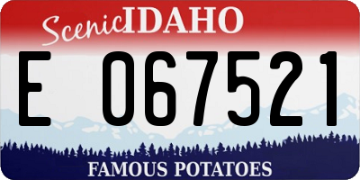 ID license plate E067521
