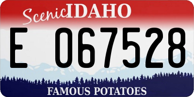 ID license plate E067528