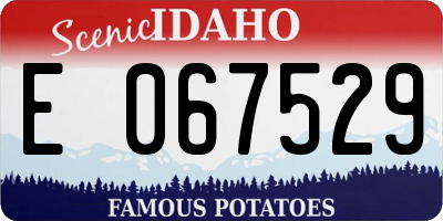 ID license plate E067529