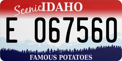 ID license plate E067560