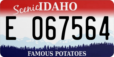 ID license plate E067564