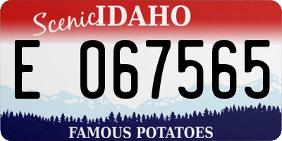 ID license plate E067565