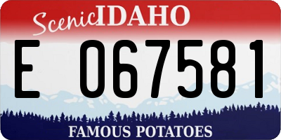 ID license plate E067581