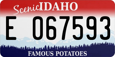 ID license plate E067593