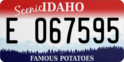 ID license plate E067595