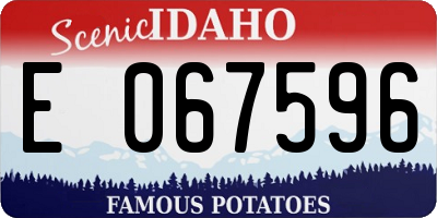 ID license plate E067596