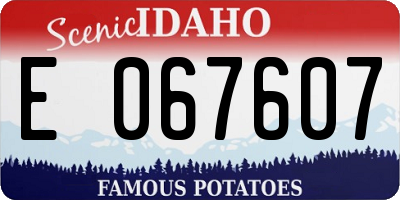 ID license plate E067607