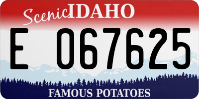 ID license plate E067625