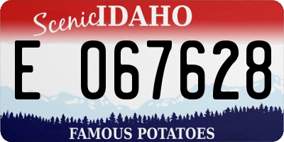 ID license plate E067628