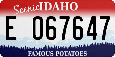 ID license plate E067647