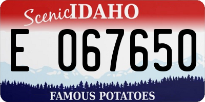 ID license plate E067650