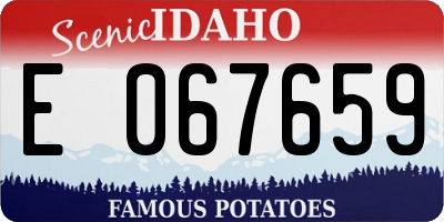 ID license plate E067659